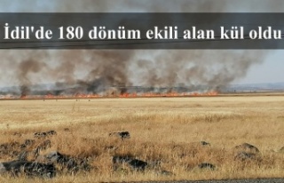 İdil'de 180 dönüm ekili alan kül oldu