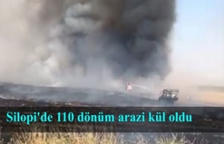 Silopi'de 110 dönüm arazi kül oldu