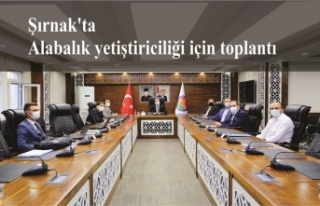 Şırnak'ta Alabalık yetiştiriciliği için...