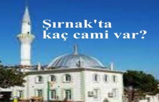 Şırnak'ta kaç cami var?