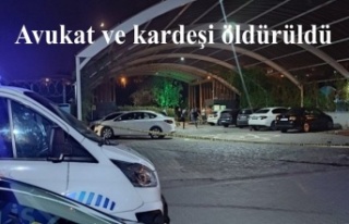 Avukat ve kardeşi öldürüldü