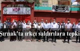 Irkçı saldırı Şırnak'ta protesto edildi