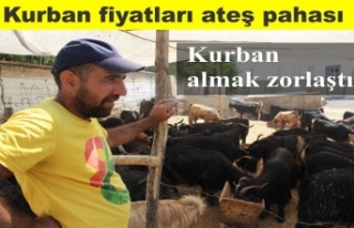 Kurban kesmek zorlaştı fiyatlar ateş pahası