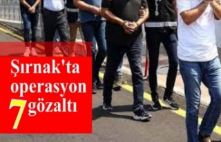 Şırnak'ta operasyon 7 gözaltı