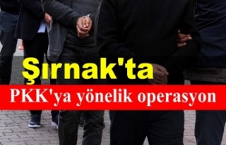 Şırnak'ta PKK'YE yönelik operasyon