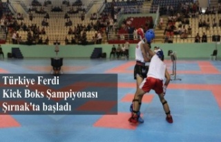 Türkiye Ferdi Kick Boks Şampiyonası, Şırnak'ta...