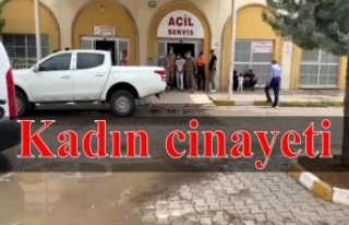 Başında vurularak öldürüldü