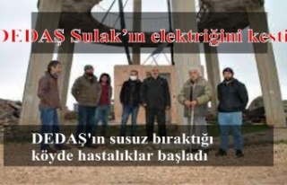 DEDAŞ Sulak köyünün elektriğini kesti hayvanlar...