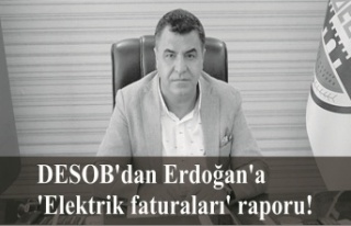 DESOB'dan Erdoğan'a 'Elektrik faturaları'...