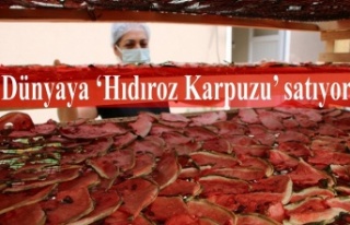 Dünyaya ‘Hıdıroz Karpuzu’ satıyor