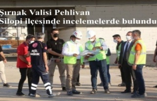 Şırnak Valisi Pehlivan, Silopi ilçesinde incelemelerde...