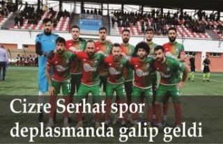 Cizre Serhat Spor lige  galibiyetle başladı