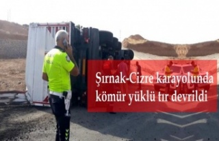 Şırnak-Cizre karayolunda kömür yüklü tır devrildi