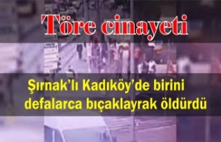 Şırnak'lı 20 yıl sonra töre intikamını...