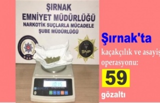 Şırnak'ta kaçakçılık ve asayiş operasyonu:...