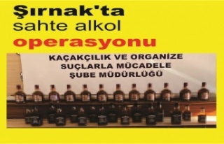 Şırnak'ta sahte alkol operasyonu