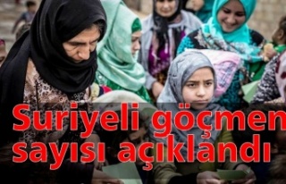 Suriyeli göçmen sayısı açıklandı