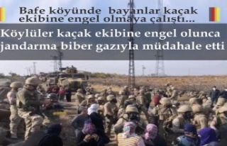 DEDAŞ ekibi Jandarma desteğinde köye girince Bayanlar...