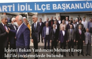 İçişleri Bakan Yardımcısı Mehmet Ersoy, İdil'de...