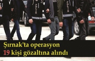 Şırnak'ta operasyon 19 kişi gözaltına alındı