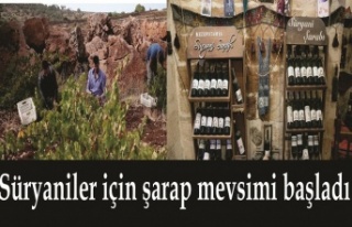 Süryaniler için şarap mevsimi başladı