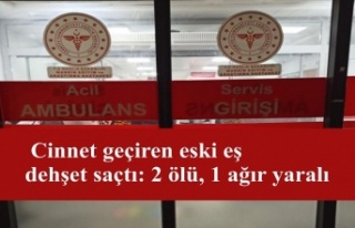 Cinnet geçiren eski eş dehşet saçtı: 2 ölü,...