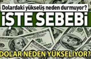 Dolar neden yükseliyor