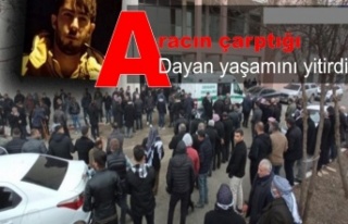 Aracın çarptığı Dayan yaşamını yitirdi