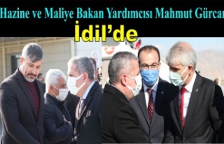 Hazine ve Maliye Bakan yardımcısı Mahmut Gürcan'dan...