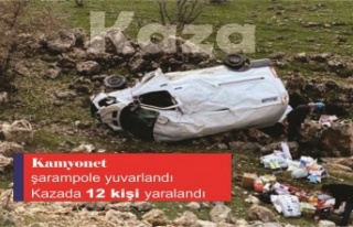 İdil Dargeçit Karayolunda kaza: 12 kişi yaralandı