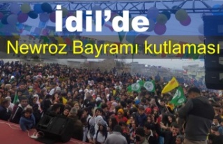 İdil'de Newruz kutlaması