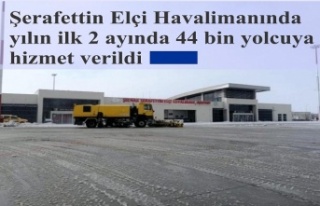 Şerafettin Elçi Havalimanında yılın ilk 2 ayında...