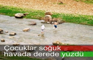 Soğuk Havada çocuklar derede yüzdü