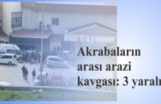 Akrabaların arası arazi kavgasıında 3 kişi yaralandı