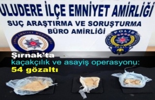 Şırnak'ta kaçakçılık ve asayiş operasyonu:...