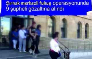 Şırnak merkezli fuhuş operasyonunda 9 şüpheli...