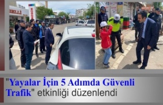 "Yayalar İçin 5 Adımda Güvenli Trafik"...