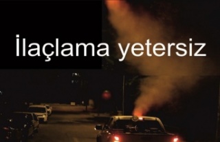 İlaçlama yetersiz