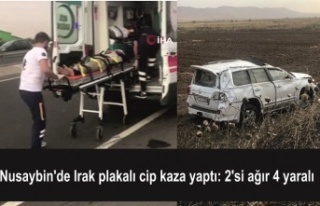 Irak plakalı Cip kaza yaptı 4 kişi yaralandı