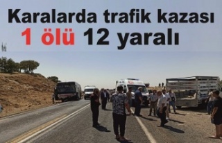 Karalarda trafik kazası 1 ölü 12 kişi yaralandı