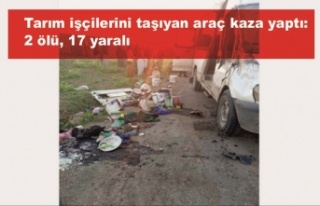 Tarım işçilerini taşıyan araç kaza yaptı: 2...