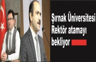Şırnak Üniversitesinde 3 Rektör adayı atamayı...