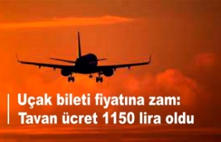 Uçak bileti fiyatına zam: Tavan ücret 1150 lira...
