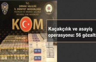 Kaçakçılık ve asayiş operasyonu: 56 gözaltı