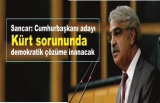 Sancar: Cumhurbaşkanı adayı Kürt sorununda demokratik...