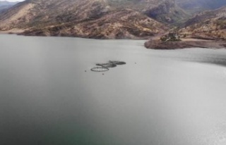Uludere Barajı'na alabalık kafesi kuruldu