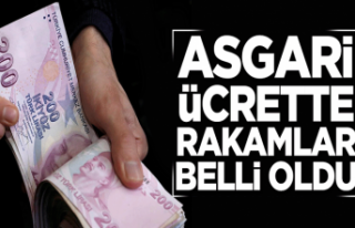 Asgari ücrette rakamlar belli oldu