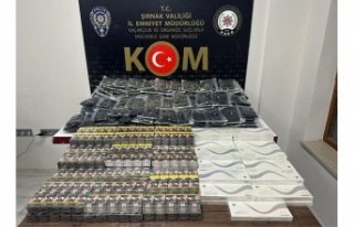 Şırnak'ta asayiş ve kaçakçılık operasyonlarında...
