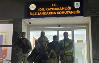 Gri kategoride aranan PKK'li İdil'de yakalandı