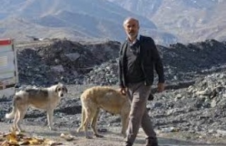 Hayırsever vatandaş sokak köpekleri için 30 kilometre...